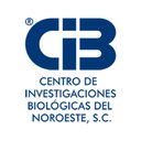 Cibnor